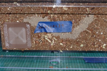 Panoramic harvesting area (32mm connections)